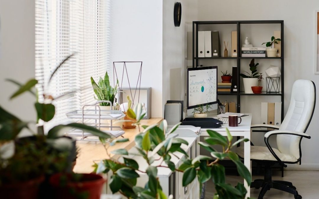 15 Stunning Winter Plants to Brighten Your Irvine Office