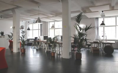 5 Signs Your Office Needs a Professional Plant Design Upgrade