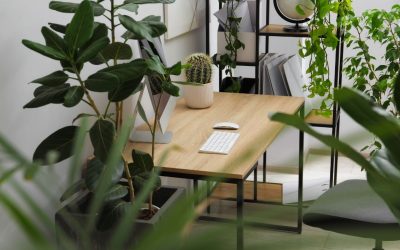 7 Interior Plant Design Mistakes That Hurt Your Office Image
