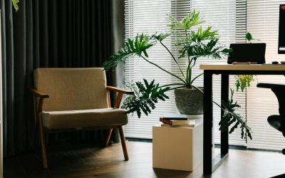 Best Indoor Plants for Corporate Lobbies