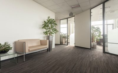 Biophilic Design Vs. Traditional Office Decor