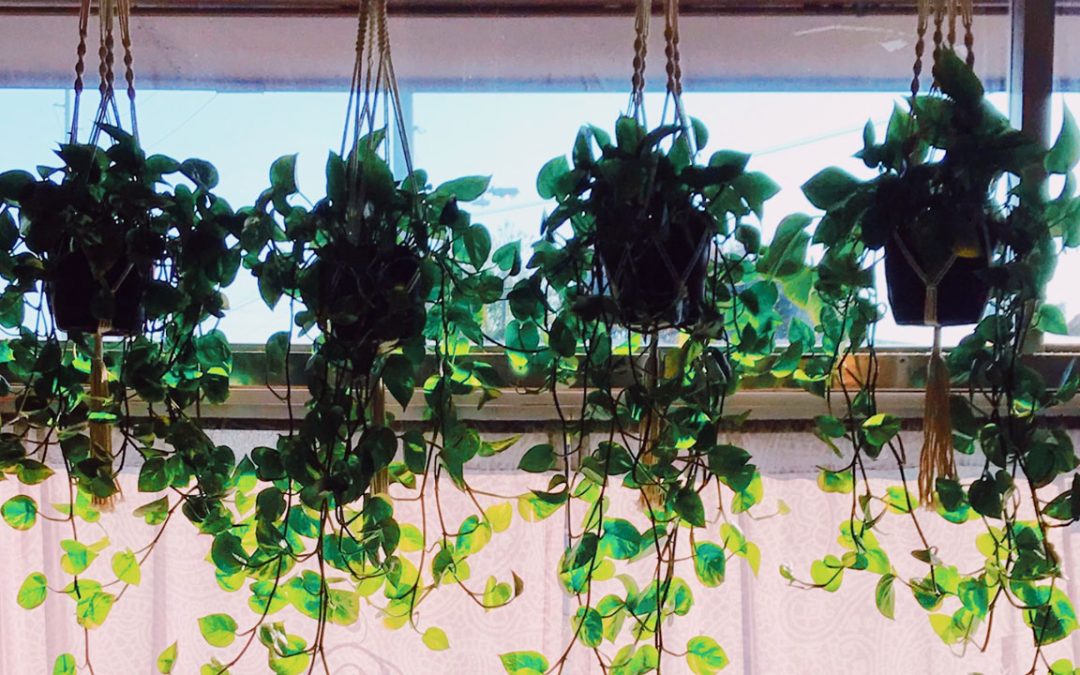 interior planting design