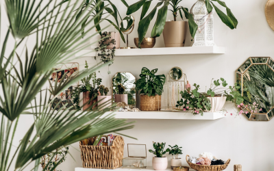 Bringing Nature Indoors: Creative Plant Layouts for Commercial Spaces