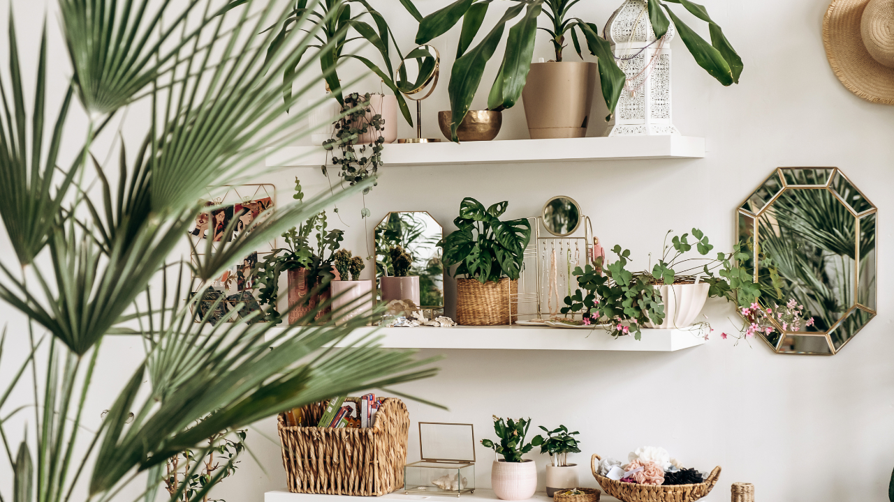 interior planting design