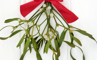 Can You Keep Mistletoe Indoors? Holiday Decor Tips for Offices