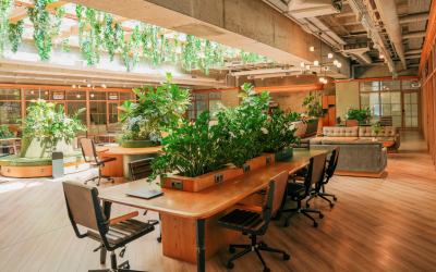 Creating a Green Office: Tips for Newport Beach Businesses
