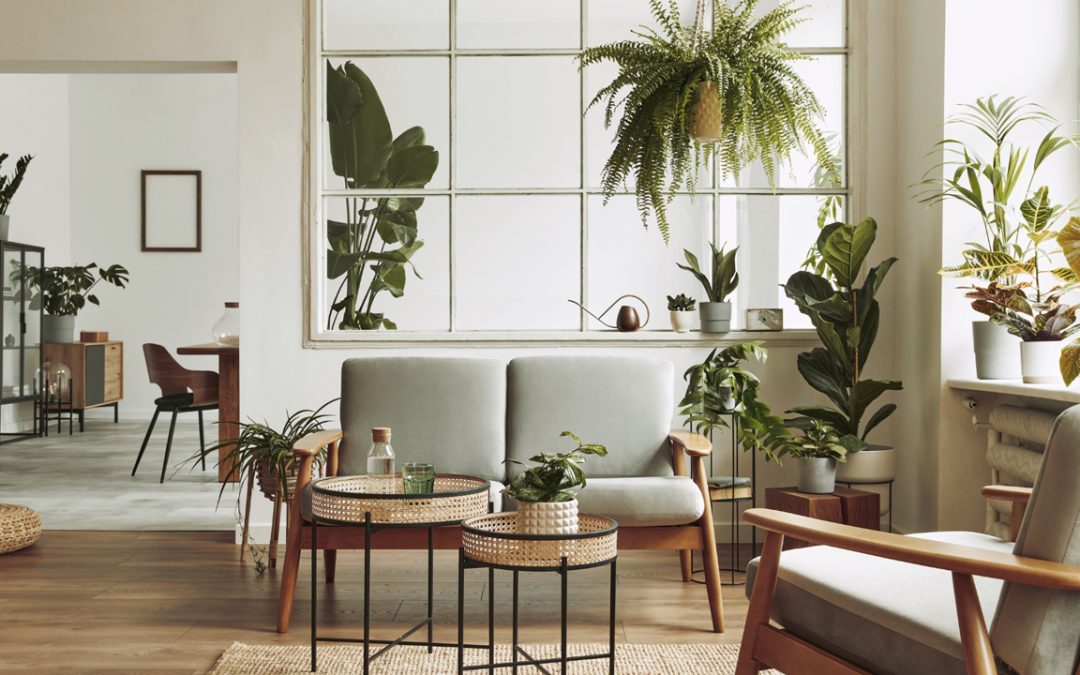 interior plant design
