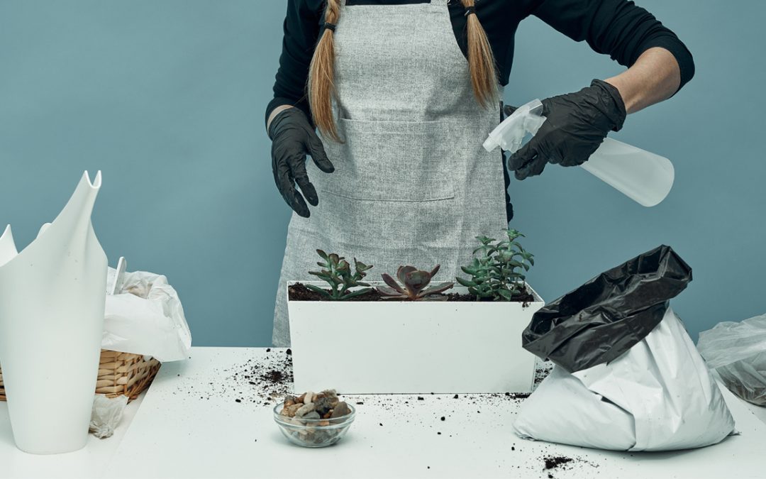plant maintenance services