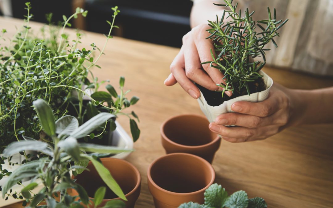 plant maintenance services