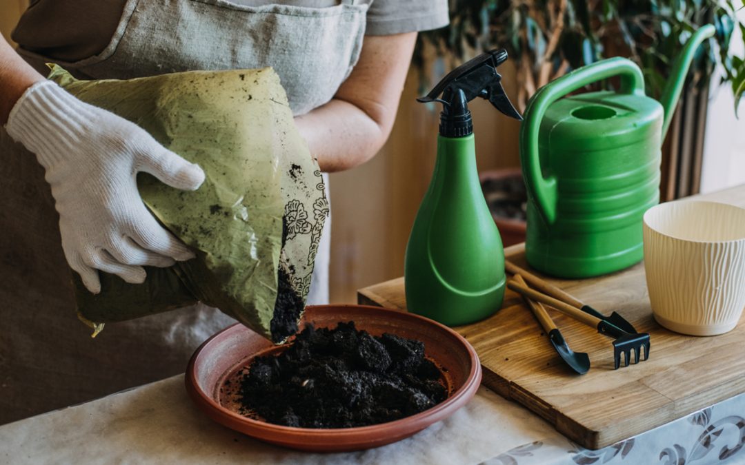 The Ultimate Guide to Professional Plant Maintenance Services