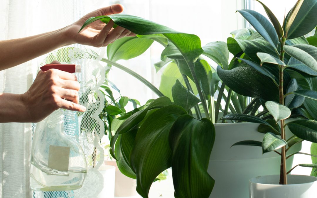 plant maintenance services