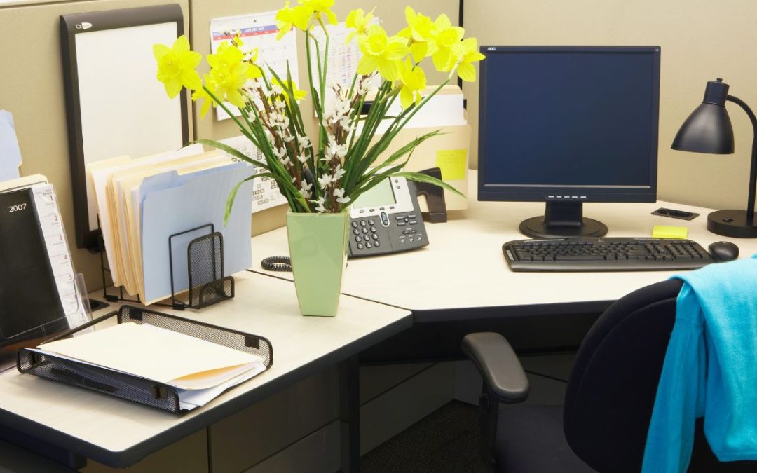 Fall Flowers That Boost Employee Mood In Anaheim Offices