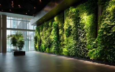 Green Walls vs. Potted Plants for Office Design: Which Is Right for Your Space?