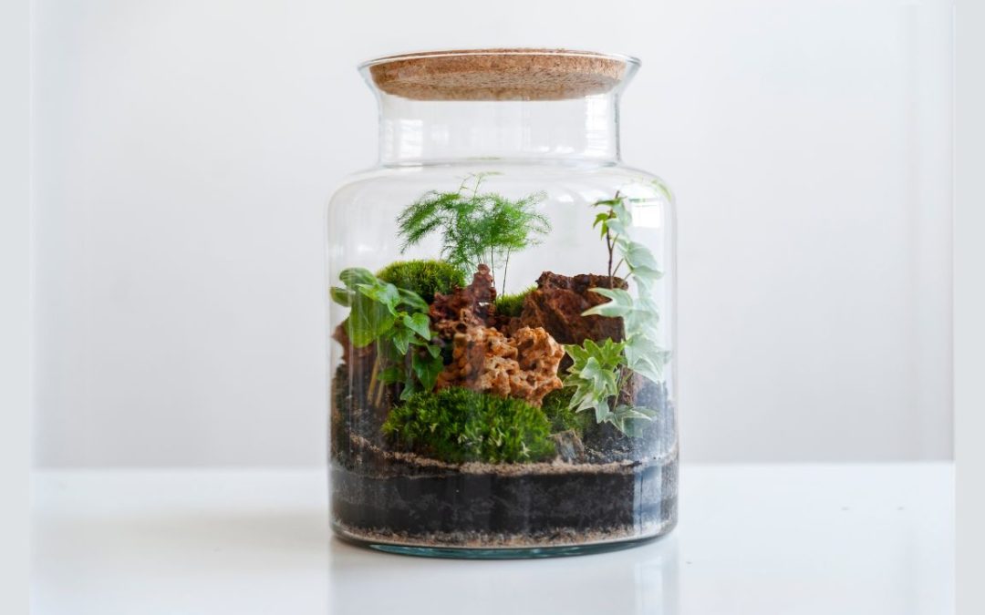 How Do You Build a Terrarium for Your Office Desk?