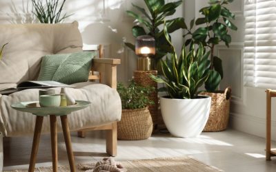 How Much Does Interior Plant Design Cost in Orange County?