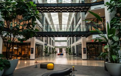 How to Choose an Interior Plant Design Company in Orange County