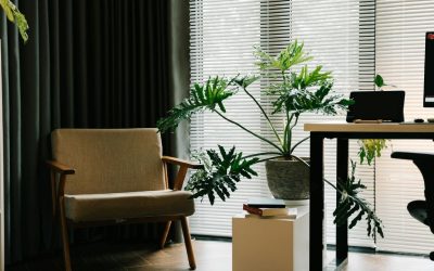How to Justify the Budget for Office Plants: ROI and Wellbeing Metrics Explained
