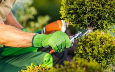 In-House Vs. Outsourced Plant Maintenance: A Cost Comparison