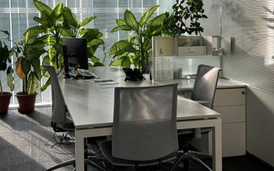 Interior Plant Design Pricing: What Factors Affect Your Quote