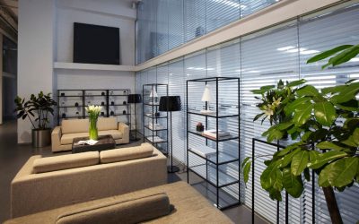 Live Plants vs. Artificial Plants for Office Design: A Comprehensive Comparison
