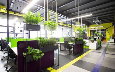Your Guide to Choosing the Right Plant Services for Offices in Orange County