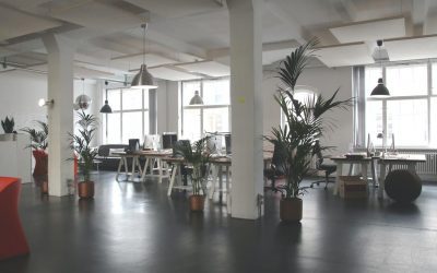 The 10 Best Office Plants for Your Desk