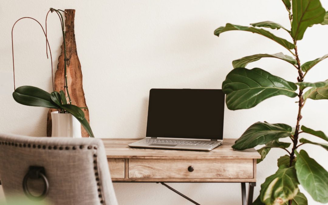 office plant design