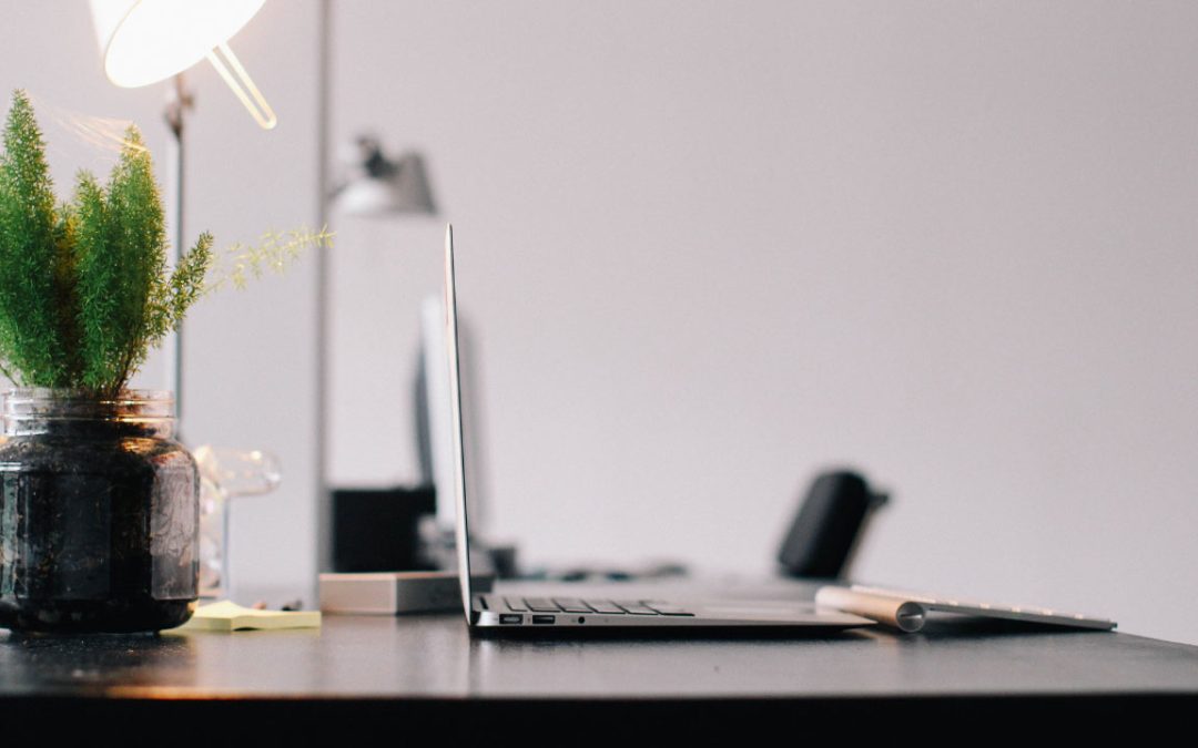 office plant design