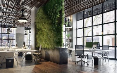 8 Best Plants for Cleaning Indoor Air in Your Office