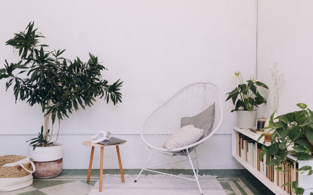 Office plant design
