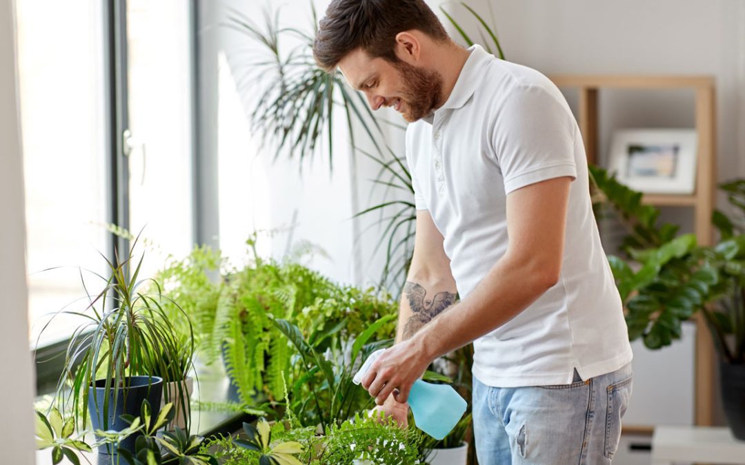 plant maintenance