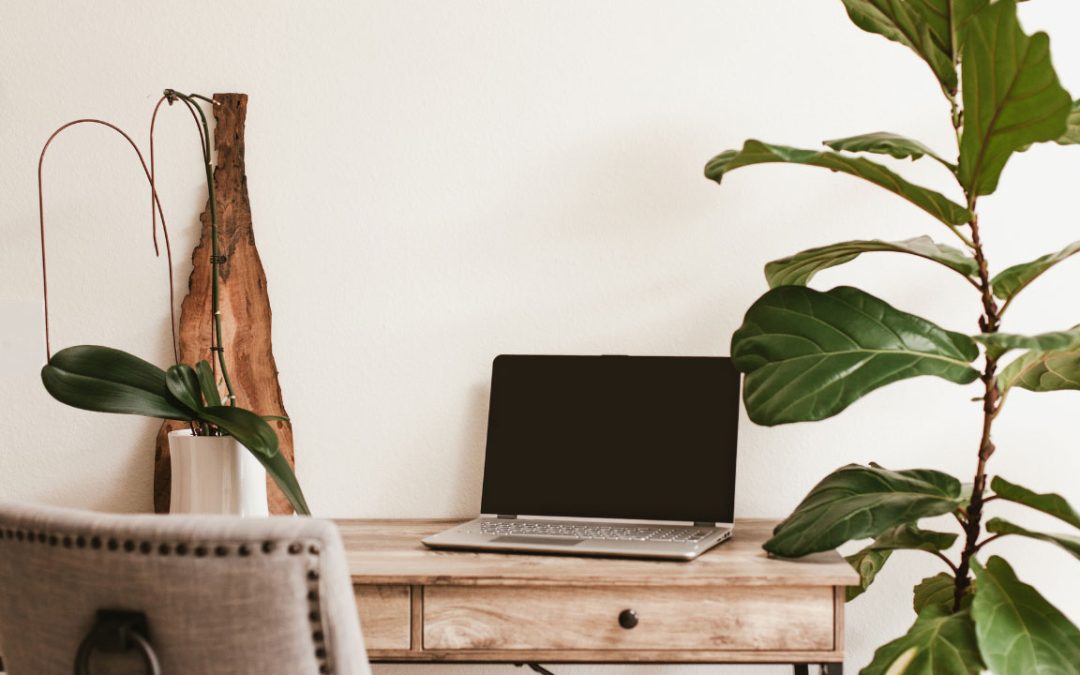 interior planting design