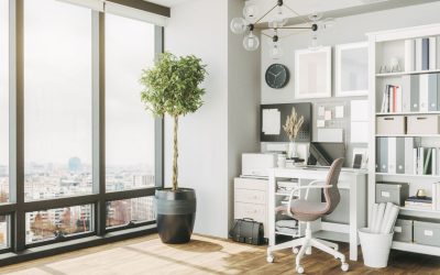 Elevate Your Workspace: Modern Office Plant Design Trends