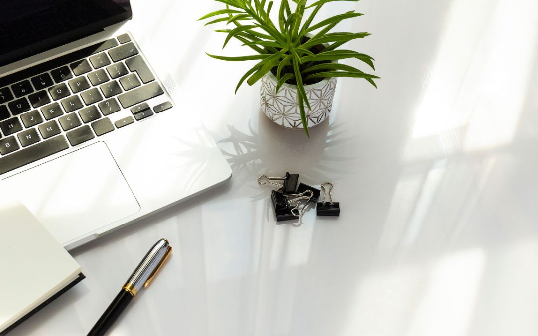 creative office plant design