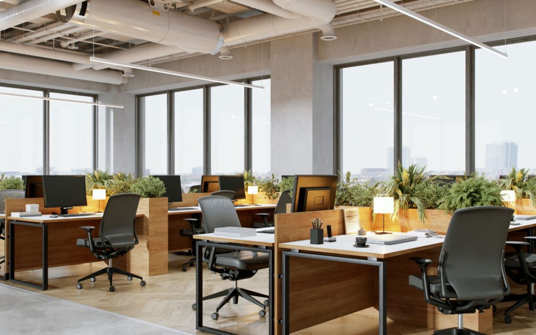 Sustainable Office Plant Design: Eco-Friendly Choices