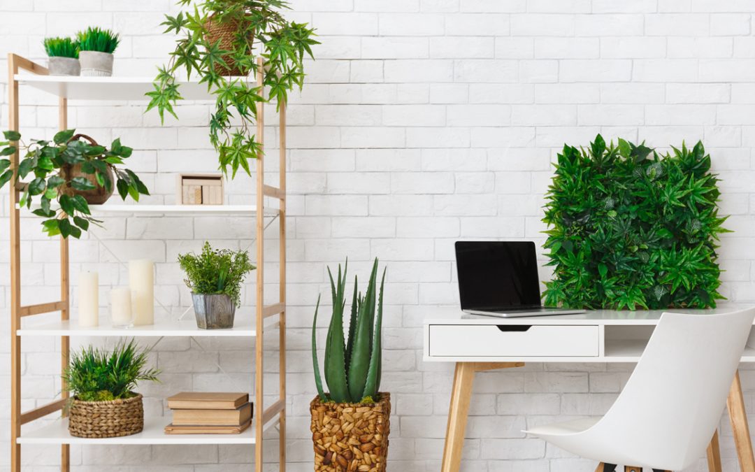 The Importance of Regular Maintenance for Office Plants
