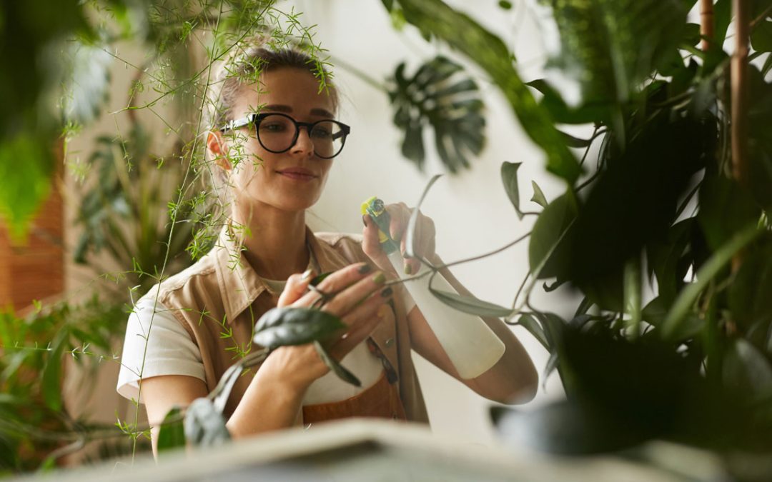 The Top Trends in Office Plant Maintenance: Insights from Professionals