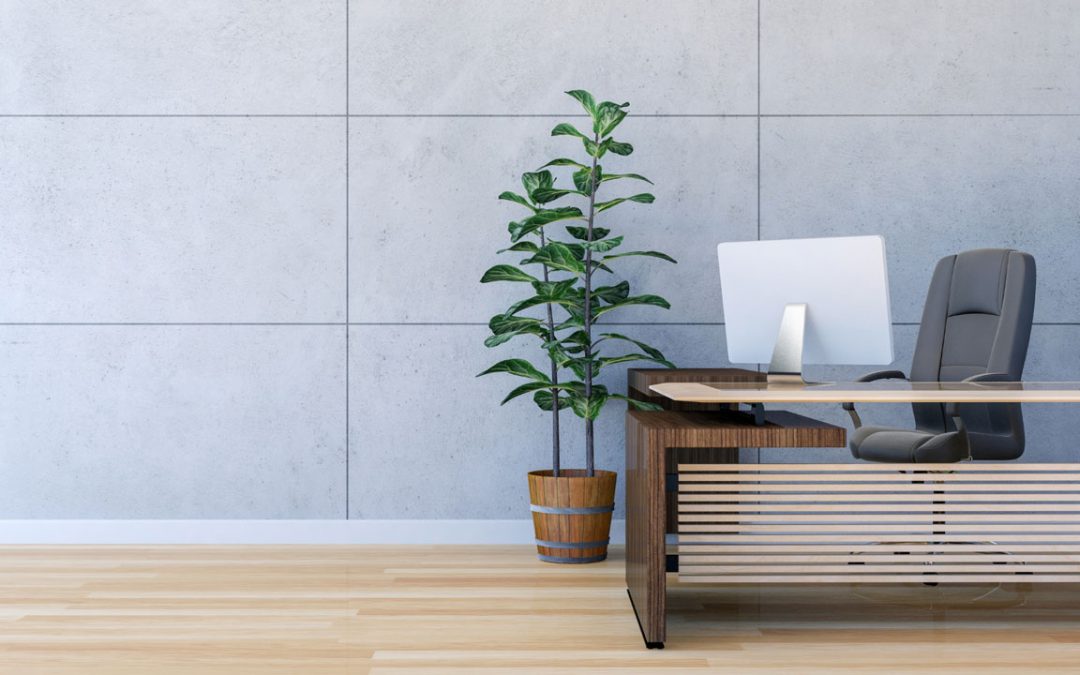 office plant design