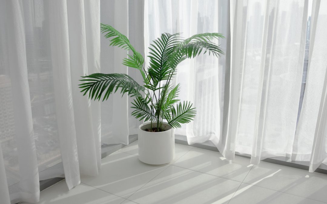 interior plant design