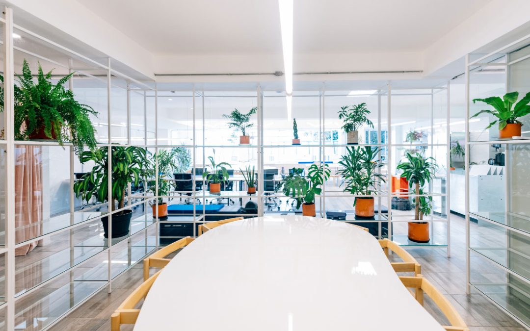 office plant design
