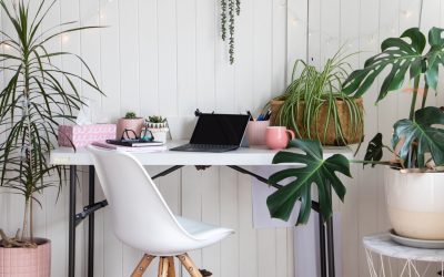 Beyond Aesthetics: The Benefits of Office Plant Design and Maintenance