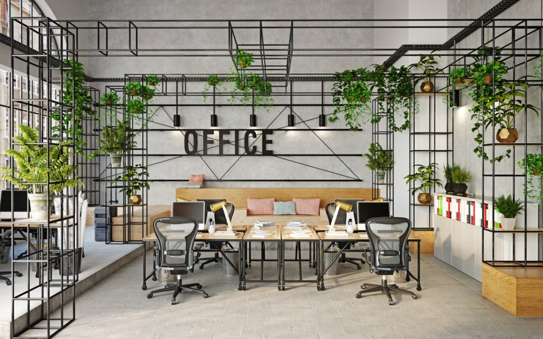 office plants