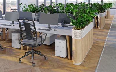 Planning Your Office Plant Design: A Complete Timeline