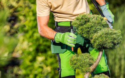 Plant Maintenance Mistakes Businesses Make and How to Correct Them