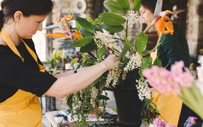 Questions to Ask Before Hiring an Interior Plant Designer