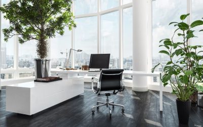 ROI of Professional Interior Plant Design for Businesses