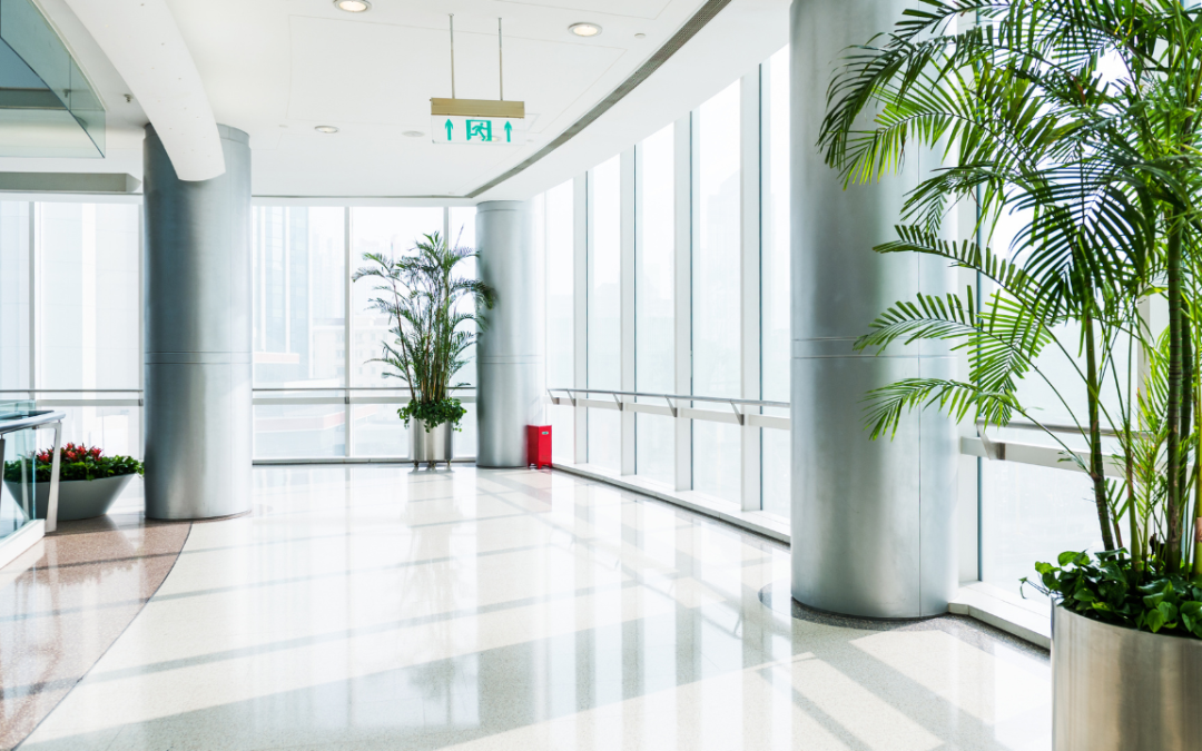 plant maintenance services