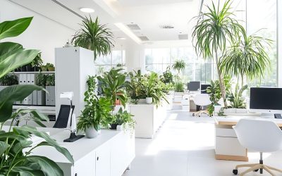 The Science Behind Plant Air Purification: Why Dracaena & Philodendron Belong in Anaheim Offices