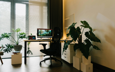 Top Indoor Plants for Newport Beach Businesses