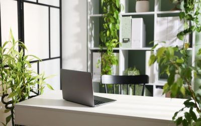 Why DIY Office Plant Design Often Fails And What to Do Instead